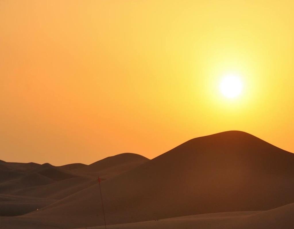 A breathtaking sunrise over the desert, casting golden light on the sand dunes during a morning safari.
