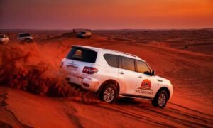 Dubai Evening Desert Safari Complete Itinerary & What to Expect